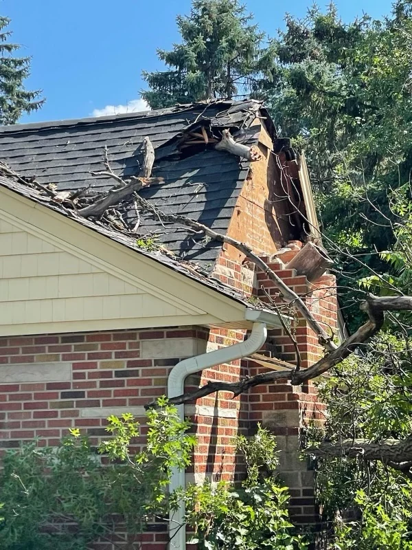 Roof and brick chimney after a tree fell on the house: tree limbs lie across the shingles, part of the roof is broken open, and the top of the chimney is damaged.